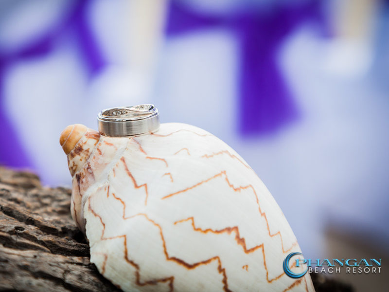 Beach Weddings