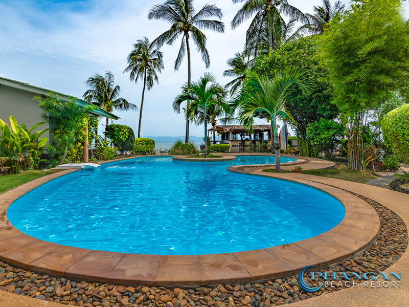 Resort koh phangan swimming pool