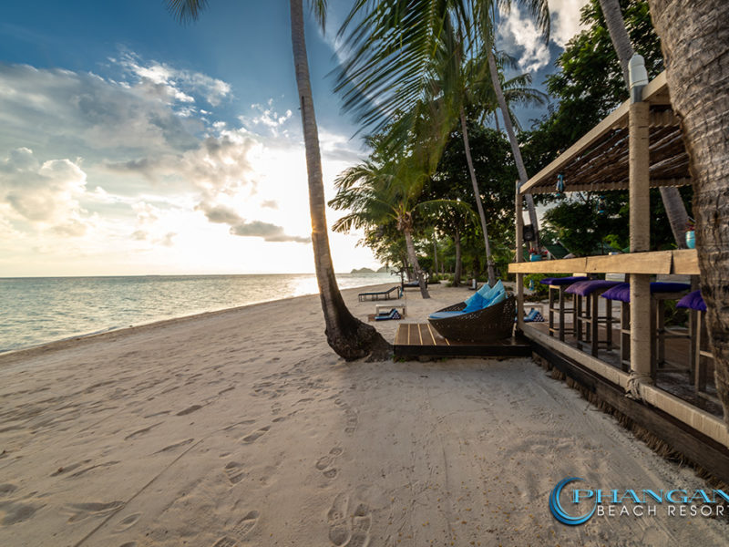 Resort koh phangan sunset drinks
