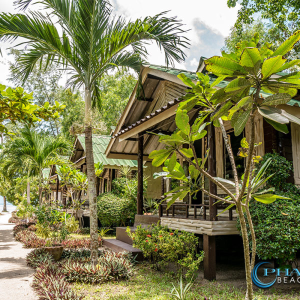 traditional bungalow fan tropical garden